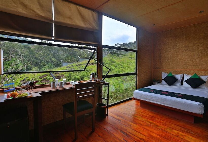 The Rainforest Ecolodge