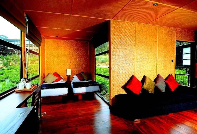 The Rainforest Ecolodge