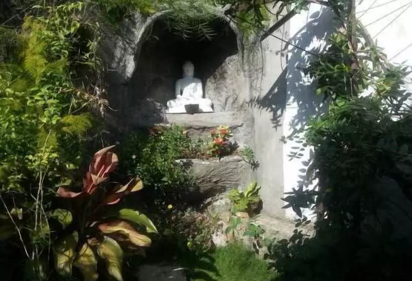 Bed & Breakfast Aaranya Residencies