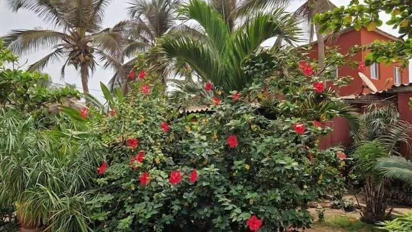 هتل Robinson Plage