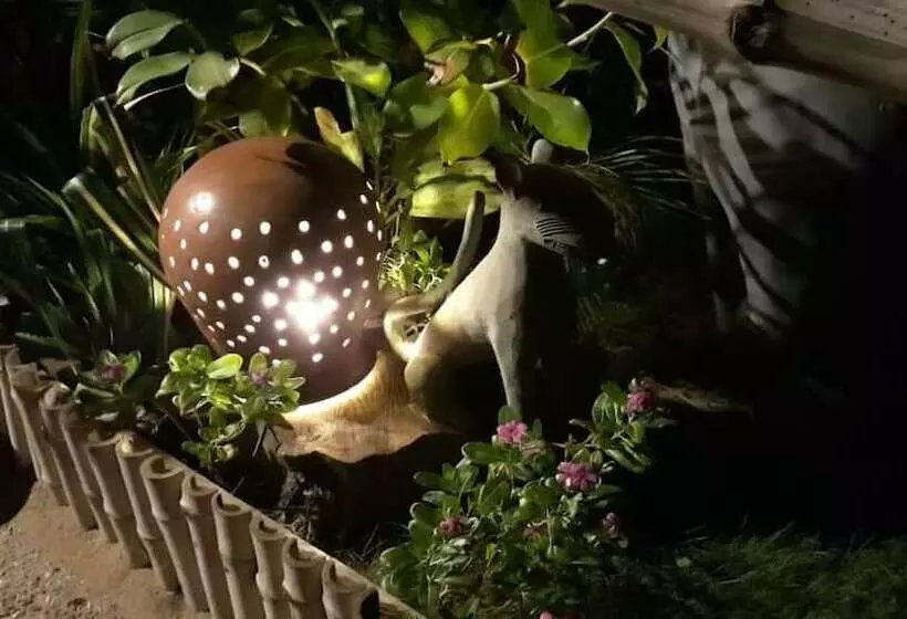 هتل Robinson Plage