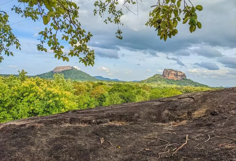 ホテル Sigiriya Rock Gate Tree House
