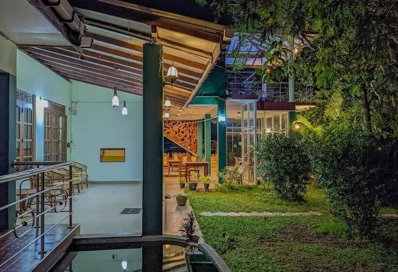 ホテル Sigiriya Rock Gate Tree House