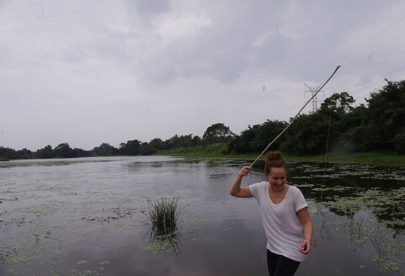 Szálloda Sigiriya Rock Gate Tree House