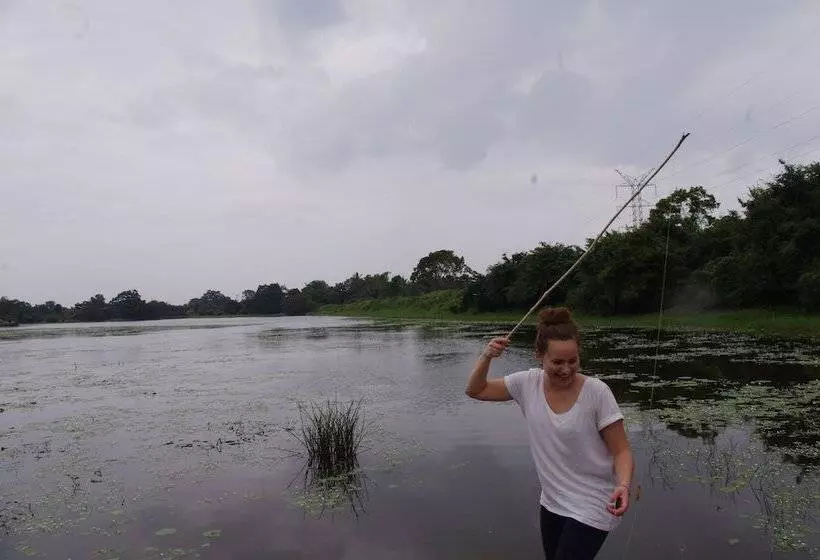 ホテル Sigiriya Rock Gate Tree House