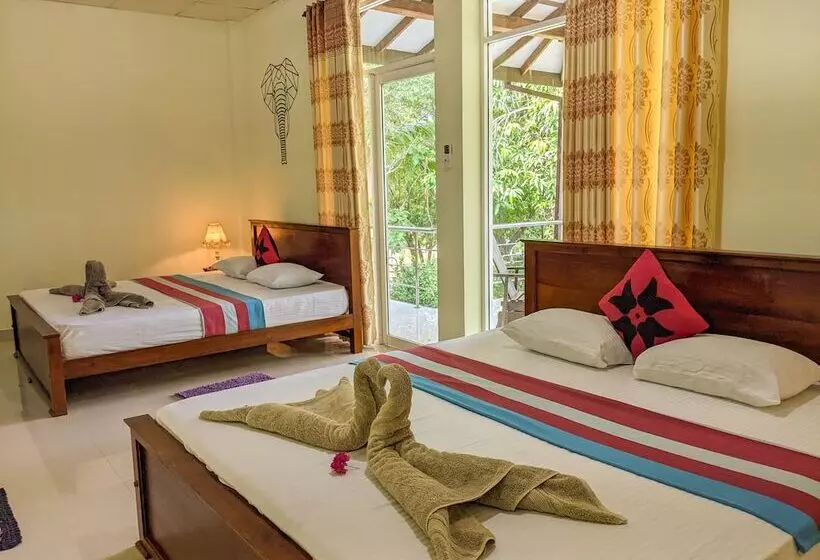 ホテル Sigiriya Rock Gate Tree House