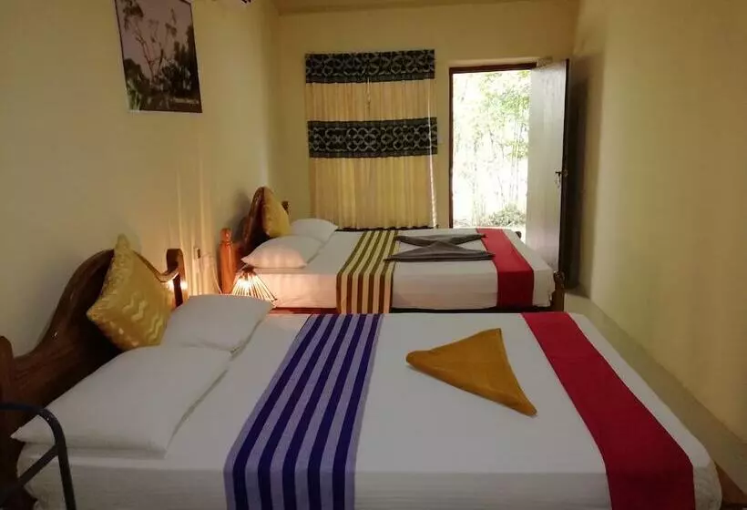 ホテル Sigiriya Rock Gate Tree House