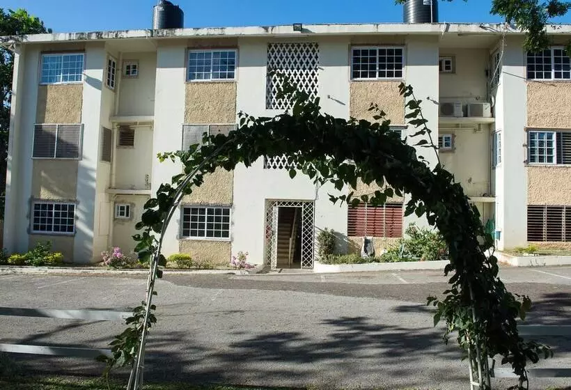 Modern Bilton Apartment