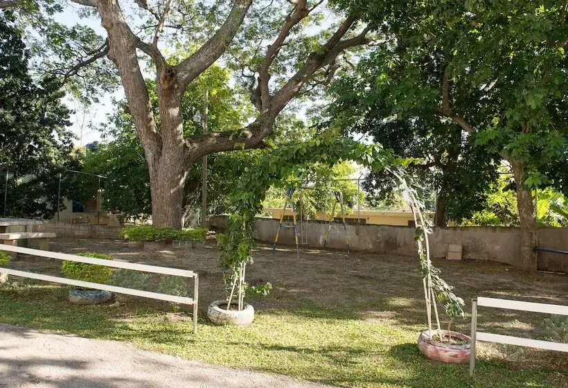 Modern Bilton Apartment