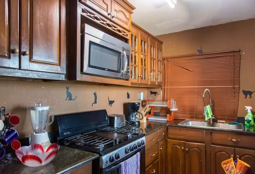 Modern Bilton Apartment