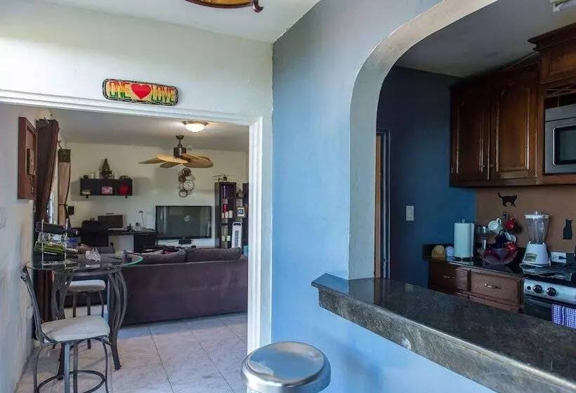 Modern Bilton Apartment