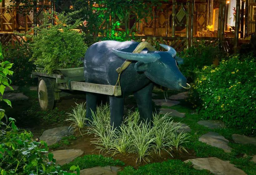 פנסיון Blessie's Bed & Breakfast