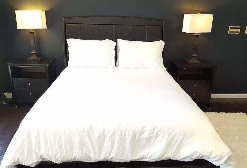 4 Bedroom Celebrity House With Pool & City View