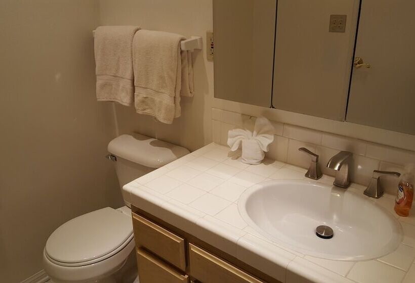 4 Bedroom Celebrity House With Pool & City View