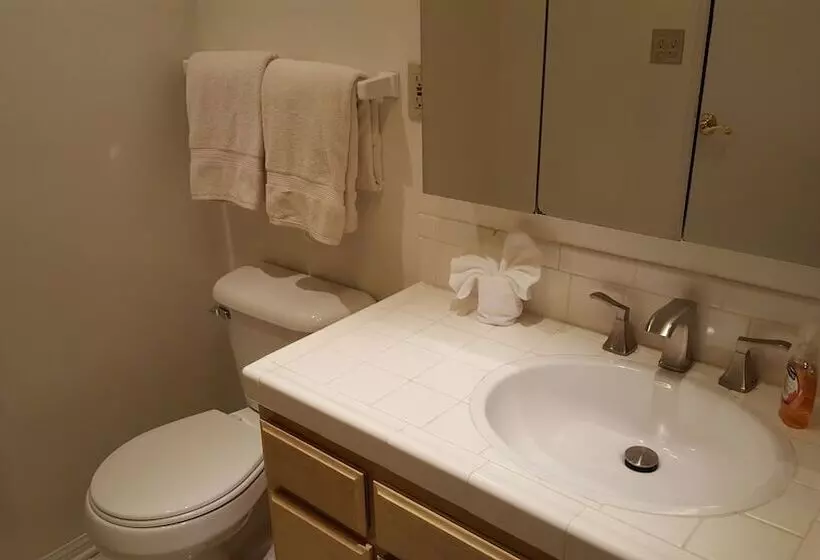 4 Bedroom Celebrity House With Pool & City View