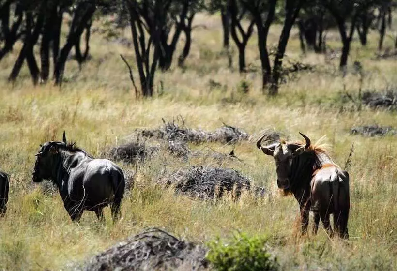 هتل Lejwe La Metsi Game Farm Pty Ltd