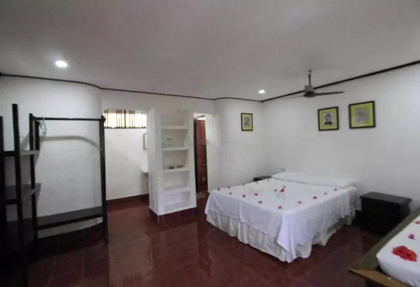 Discovery Island Resort