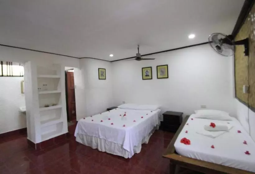 Discovery Island Resort