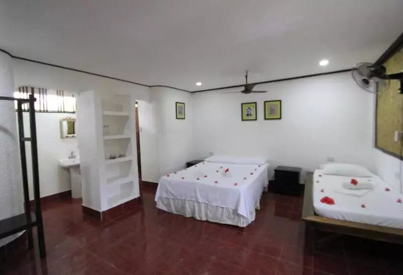 Discovery Island Resort