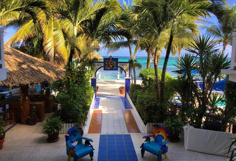 هتل Blue Tang Inn