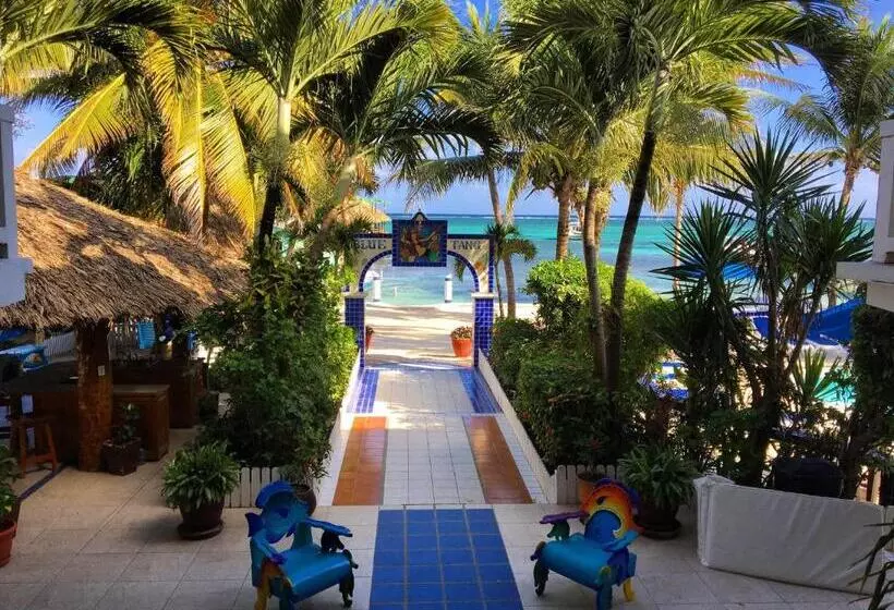 هتل Blue Tang Inn