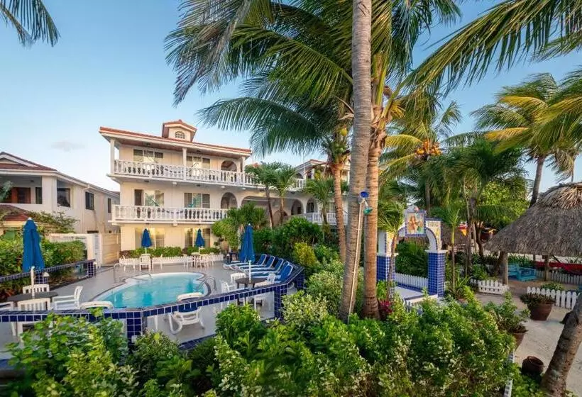 هتل Blue Tang Inn