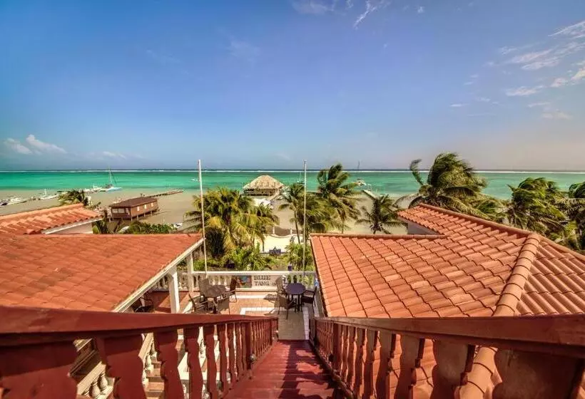 هتل Blue Tang Inn