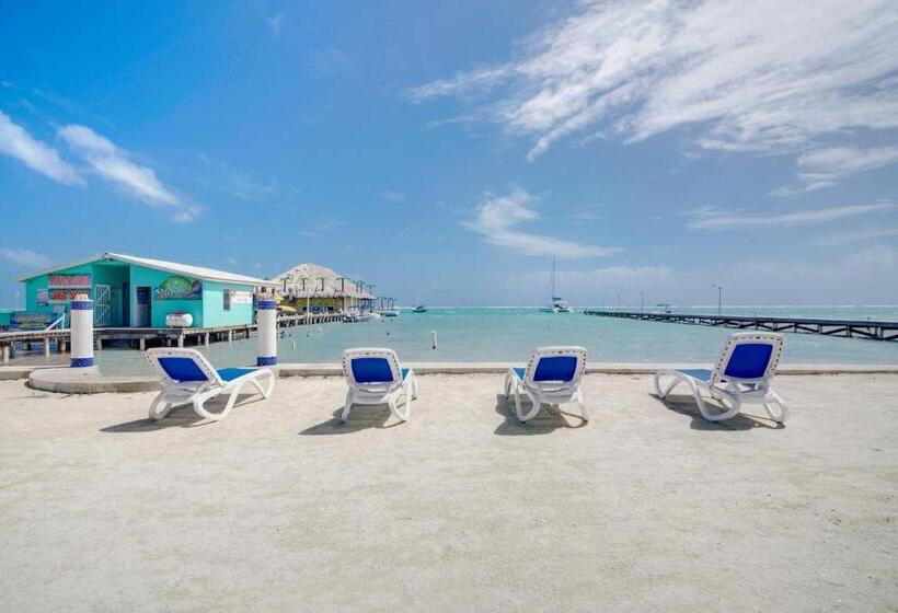 هتل Blue Tang Inn