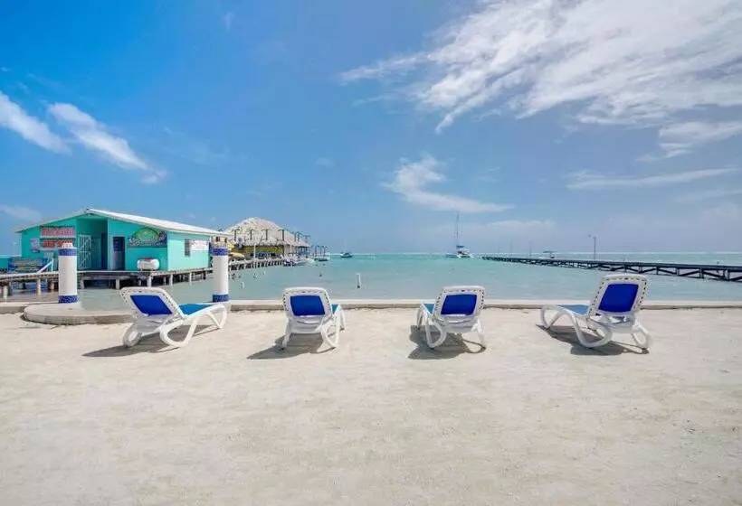 هتل Blue Tang Inn