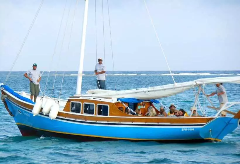 هتل Blue Tang Inn