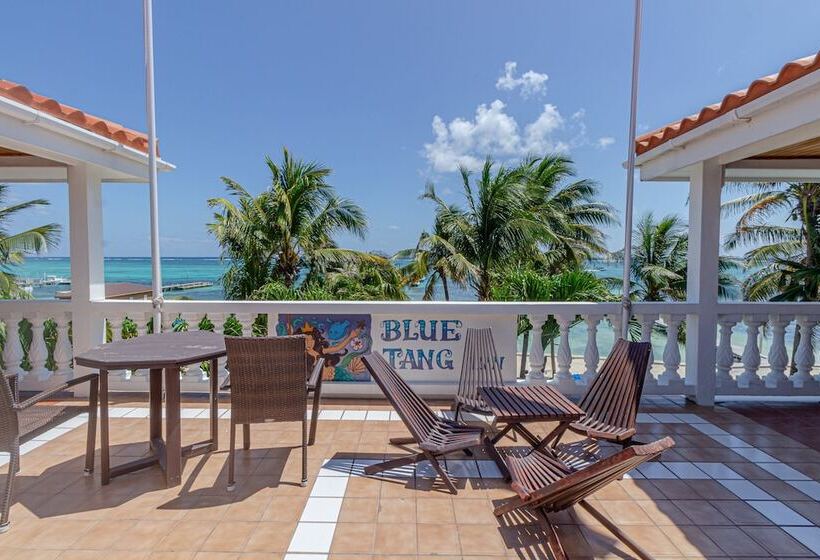 هتل Blue Tang Inn