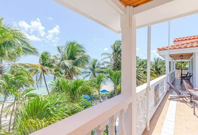 هتل Blue Tang Inn