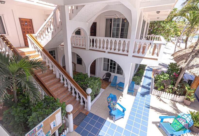 هتل Blue Tang Inn