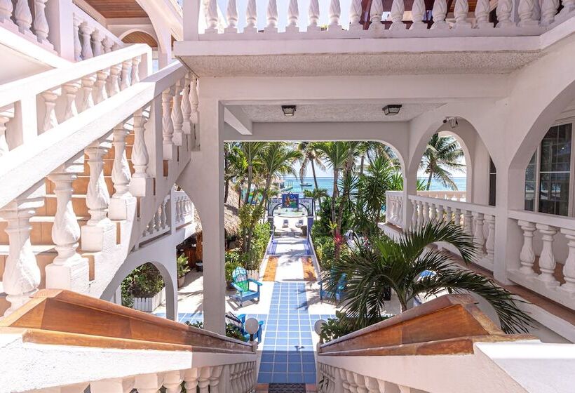 هتل Blue Tang Inn