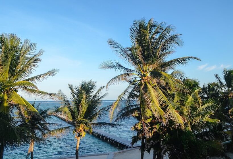 هتل Blue Tang Inn