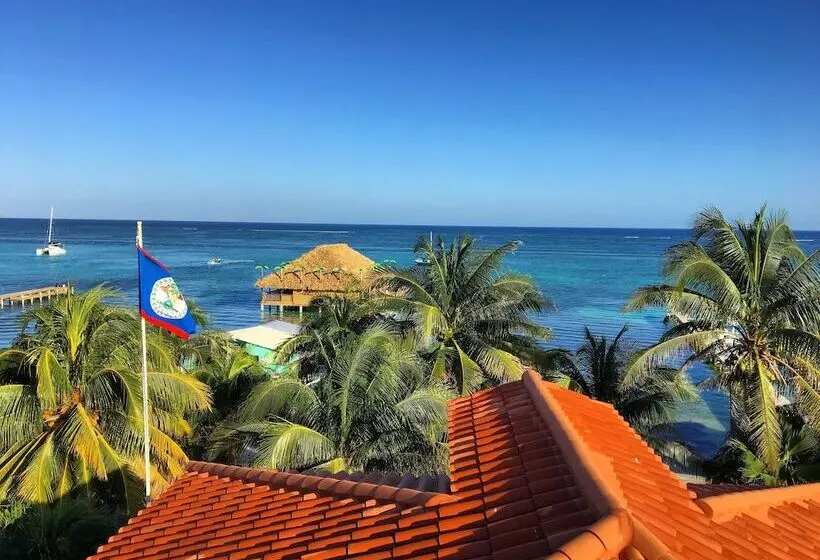 هتل Blue Tang Inn