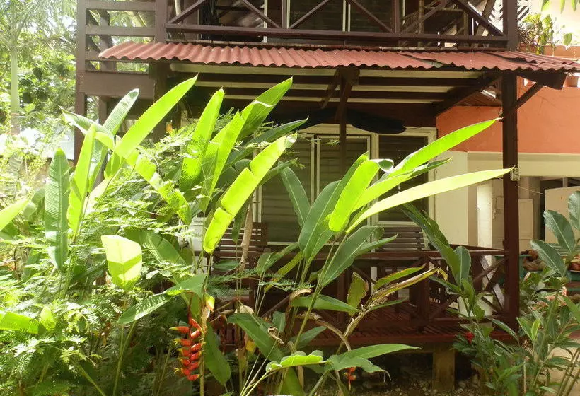 هتل Negril Yoga Centre Rooms & Cottages