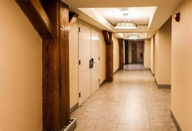 فندق The Brooklyn