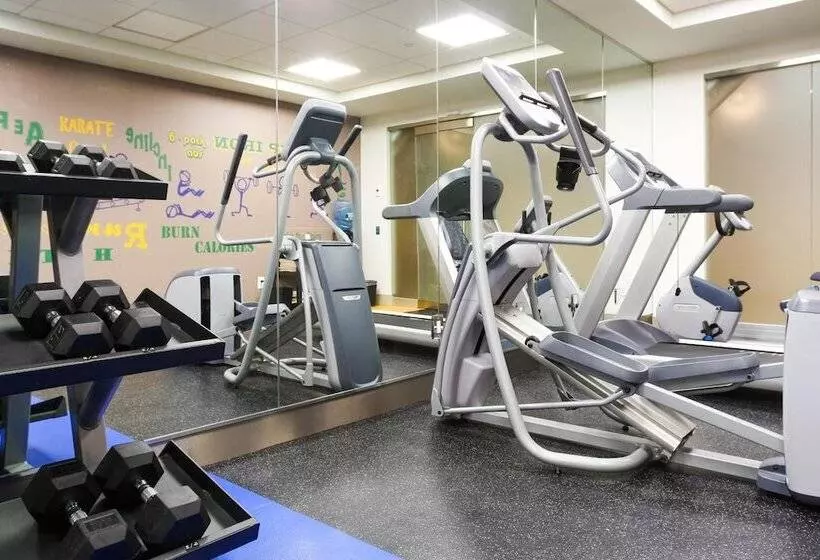 فندق The Brooklyn