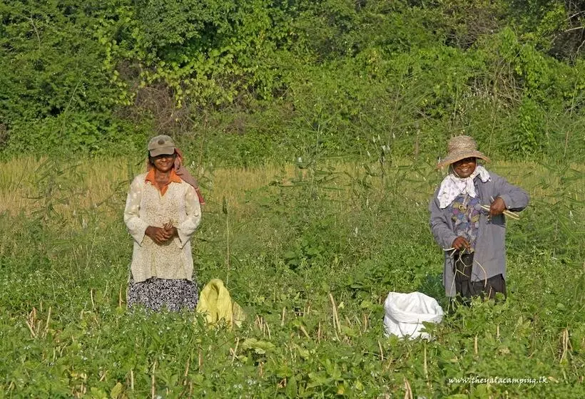 هتل The Yala Camping