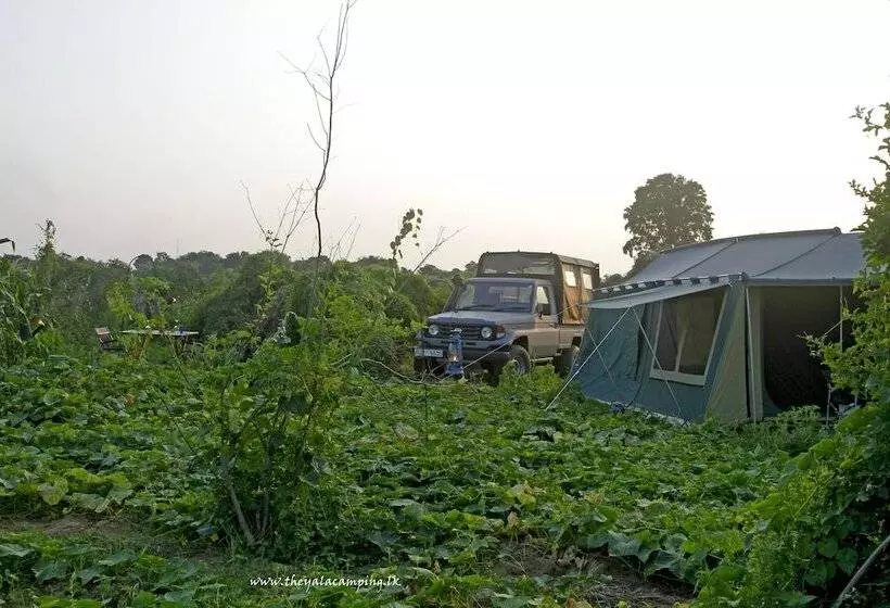 هتل The Yala Camping