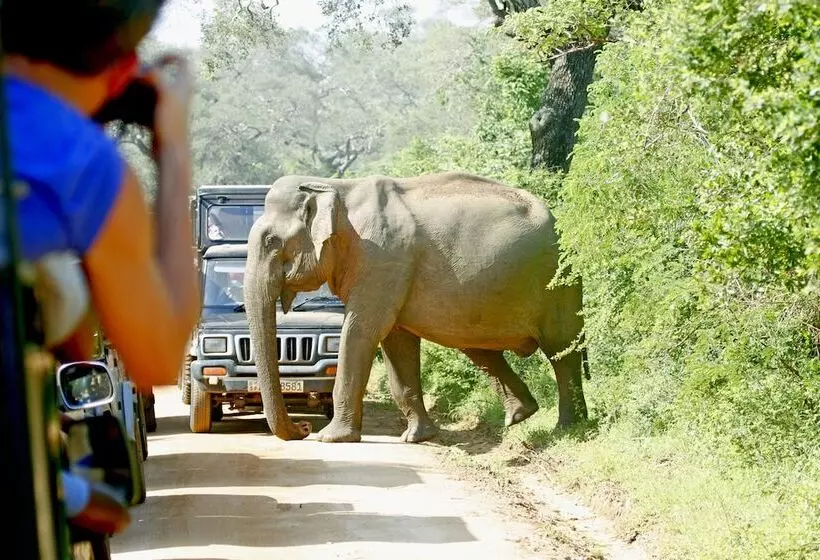 هتل The Yala Camping