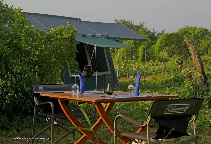هتل The Yala Camping