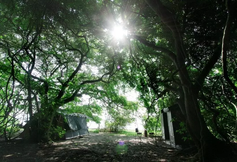 هتل The Yala Camping