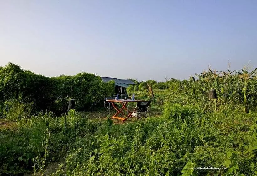 هتل The Yala Camping