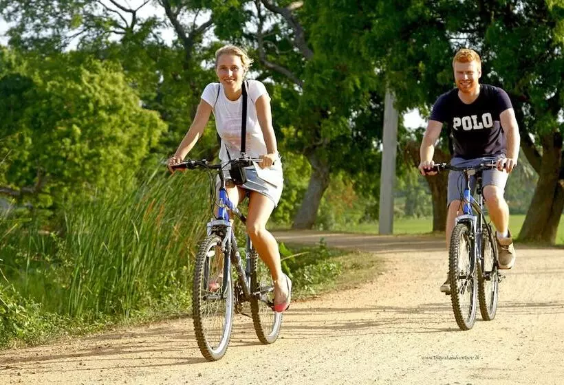 هتل The Yala Camping