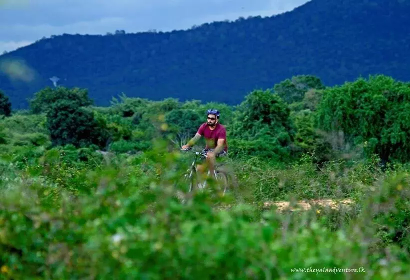 هتل The Yala Camping