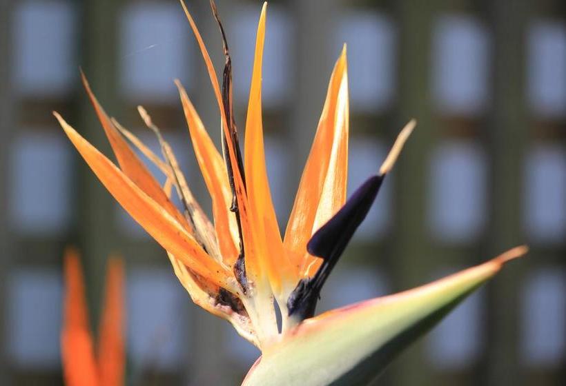 مبيت وإفطار Innzululand Guest Lodge