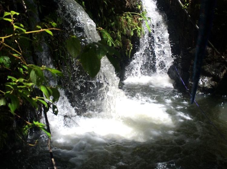 Hawaiian Hideaway At Akaka Falls