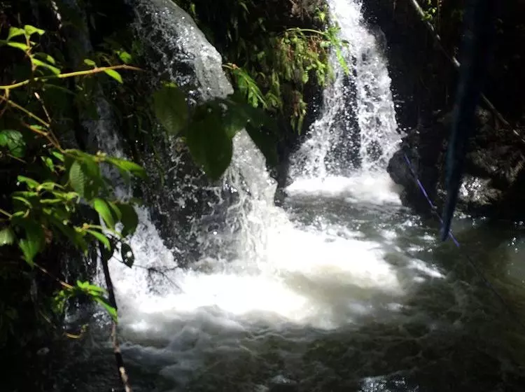 Hawaiian Hideaway At Akaka Falls